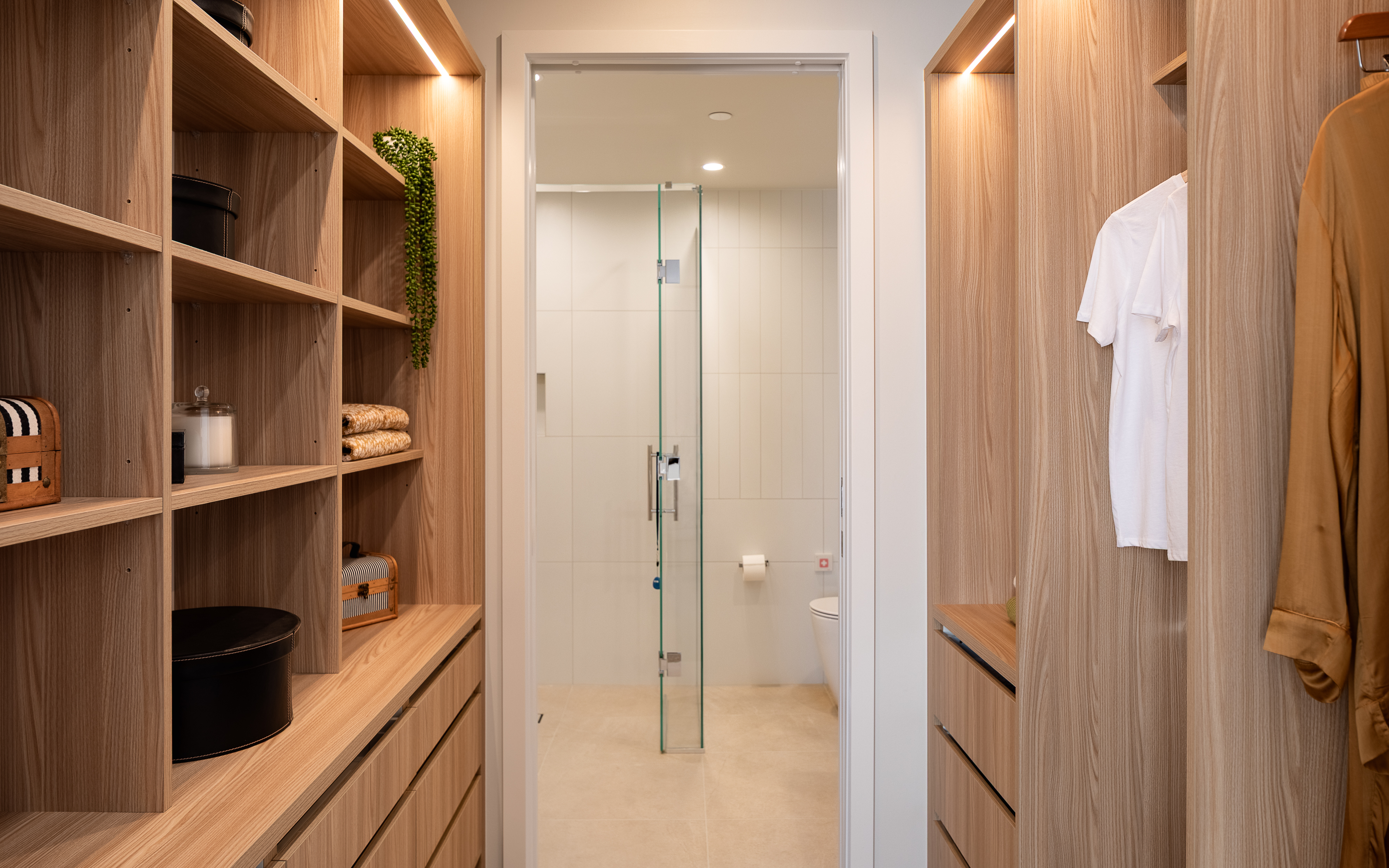 Rimu Interior MW Jan2025 16